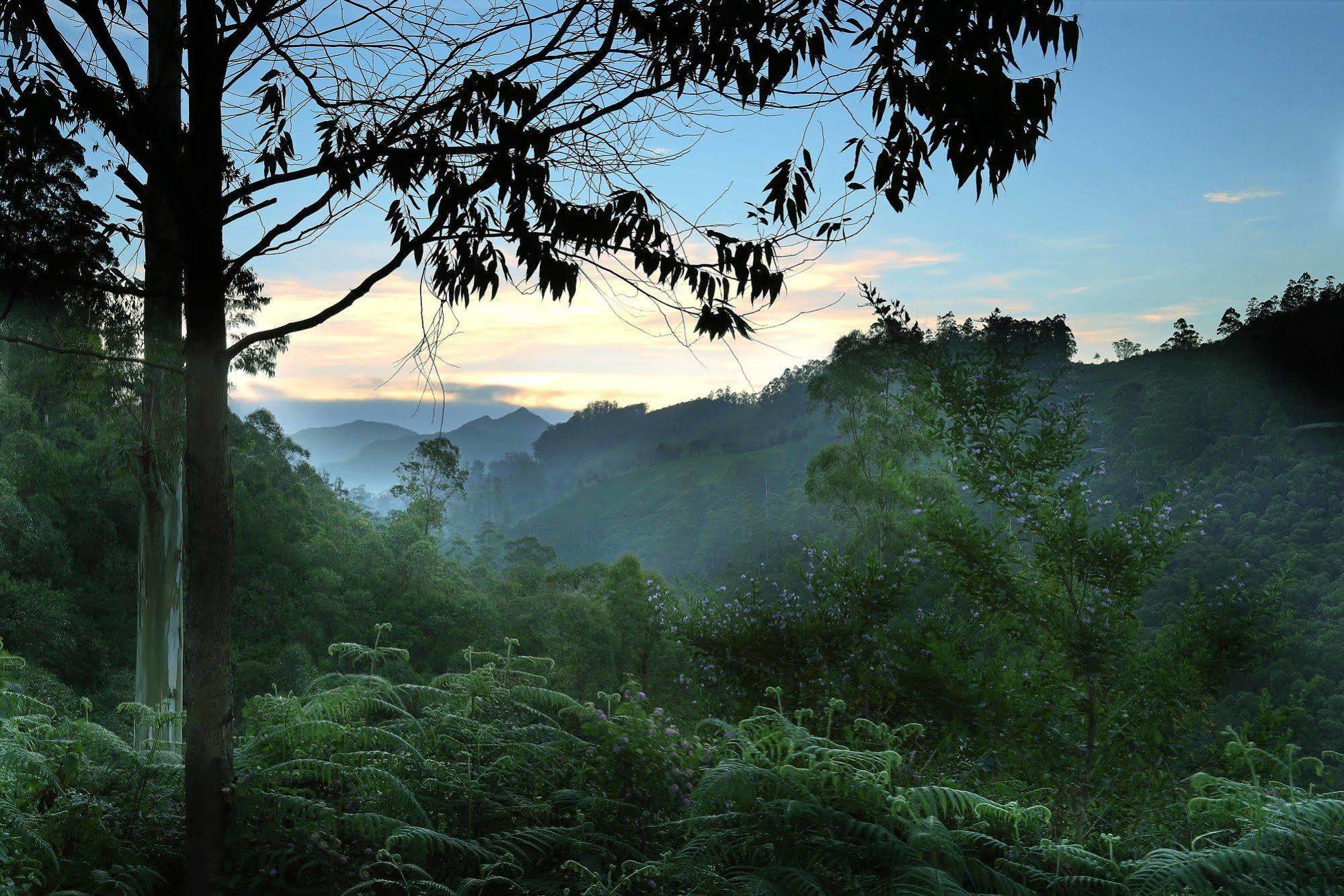 Elysium Garden Hotel Munnar Kültér fotó
